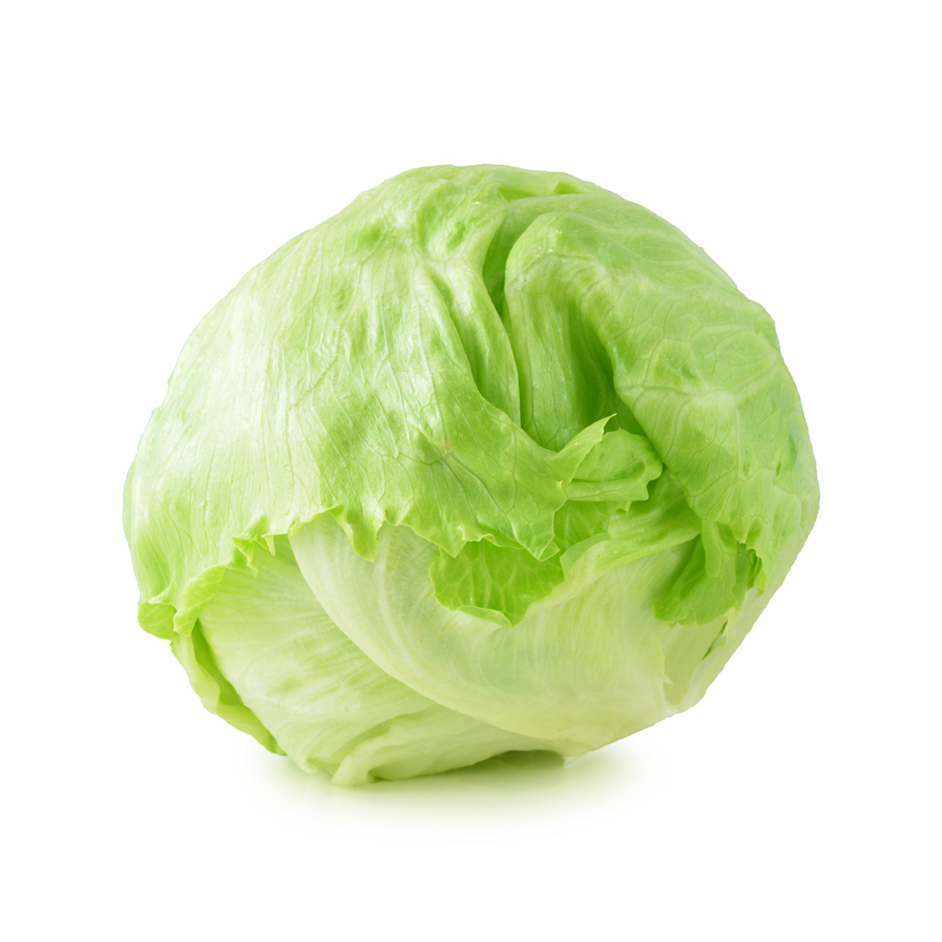 lettuce-iceberg_2048x2048.jpg?v=16261171