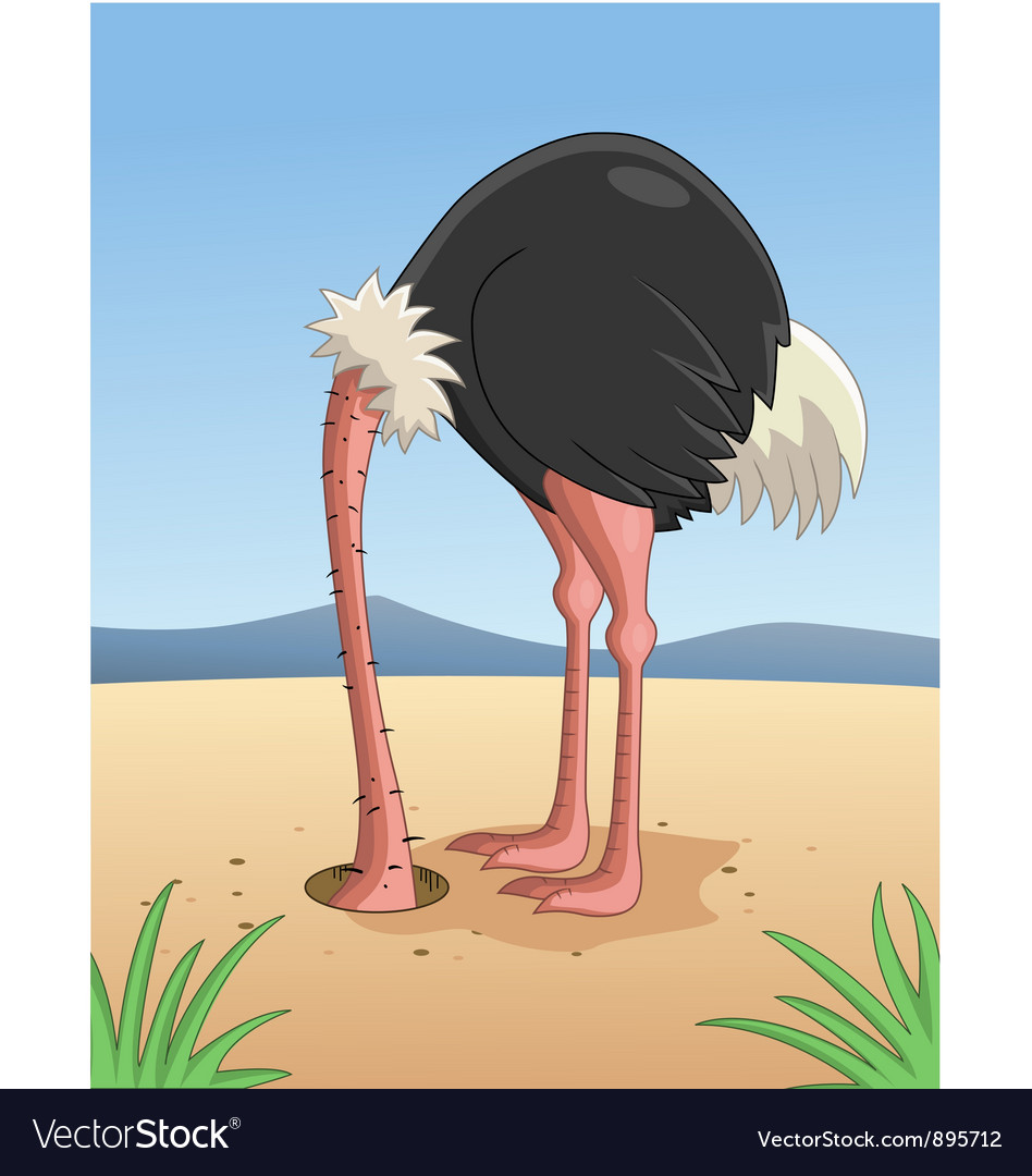 ostrich-hiding-head-in-sand-vector-89571
