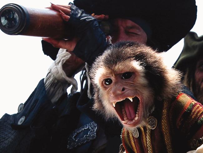 Jack the monkey had an upset stomach during filming. Picture: Elliot Marks/Disney