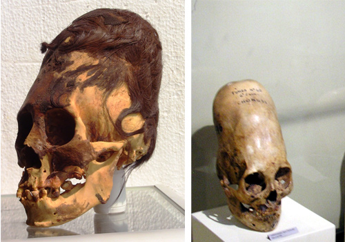 paracas-elongated-skulls-were-they-human