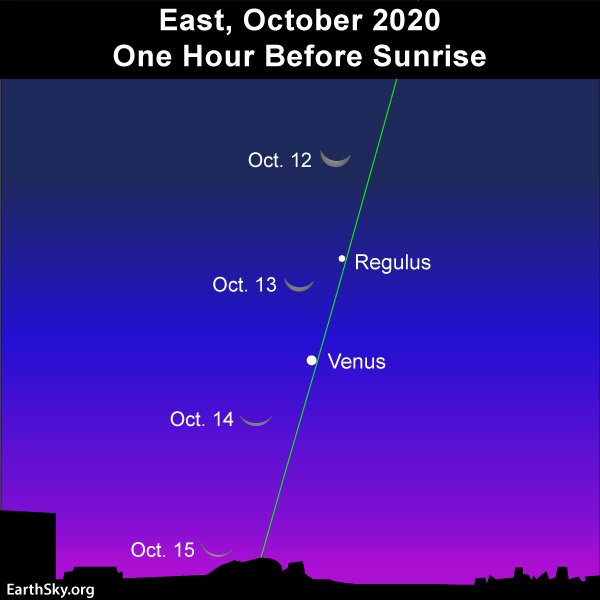 East-Multiple-Moon-Regulus-Venus-Oct-202