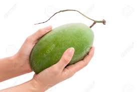 Image result for mangoes and woman