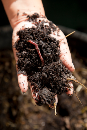 Image result for bio dynamic compost