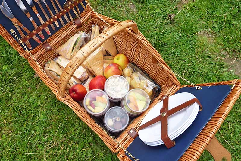 Horizontal overhead image of a wicker picnic basket with a lid that opens on either side, with dishes and flatware secured to the inner lid with leatherette straps, and a variety of foods in the bottom including fruits, bread, cheese, and plastic containers of salads and more, on green grass.