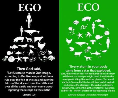 ego-vs-eco-22-e1452149628511.jpg