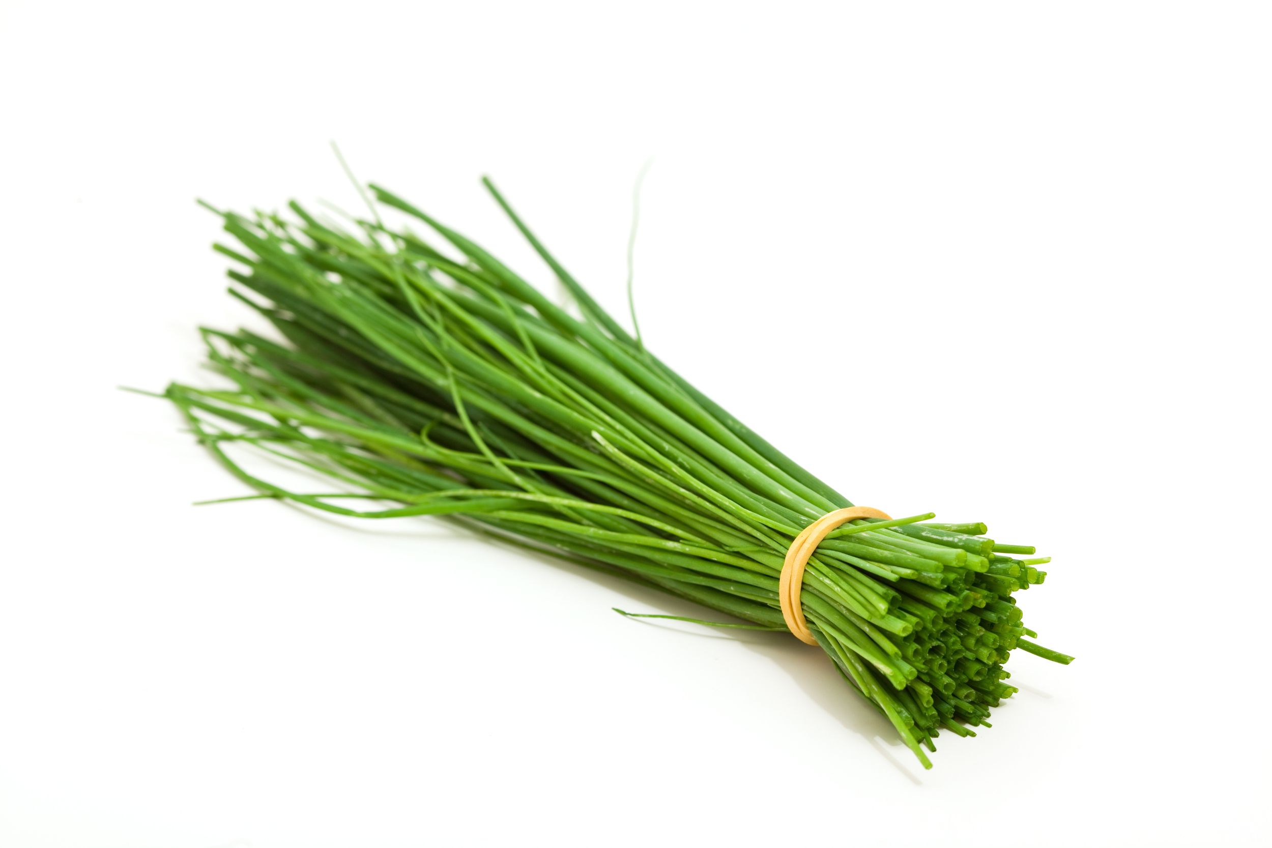 Image result for chives