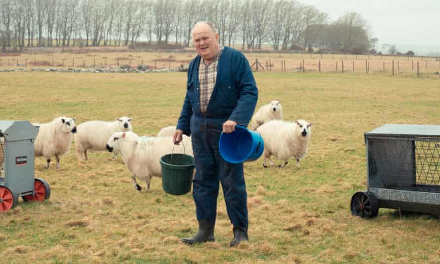 Wilf Davies, in a cardigan with a bucket in each hand, surrounded by sheep on his farm