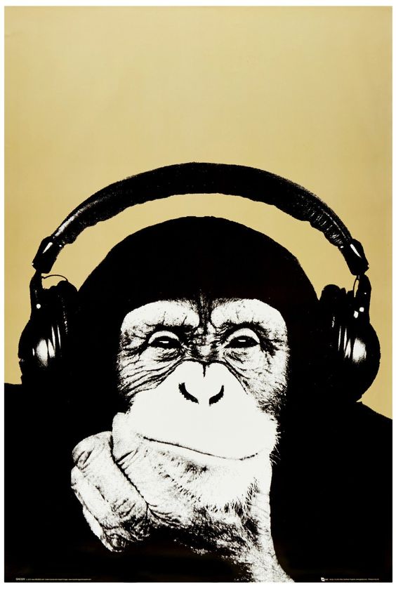 Image result for monkey with walkman