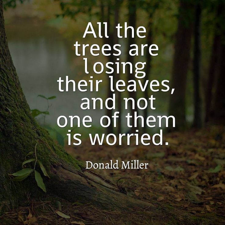 a99c0266fe7998ae6bf86c180c904e3a--trees-quotes-nature-life-peace-in-nature-quotes.jpg