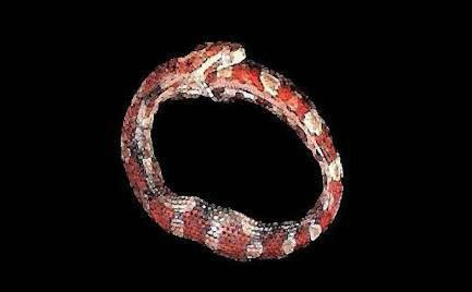 What is a hoop snake, and why did these Alabamians think they saw one? -  al.com