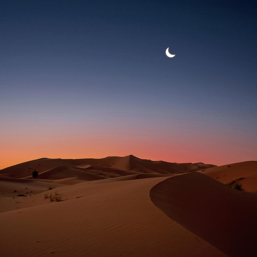 crescent-moon-over-dunes-photo-by-john-q