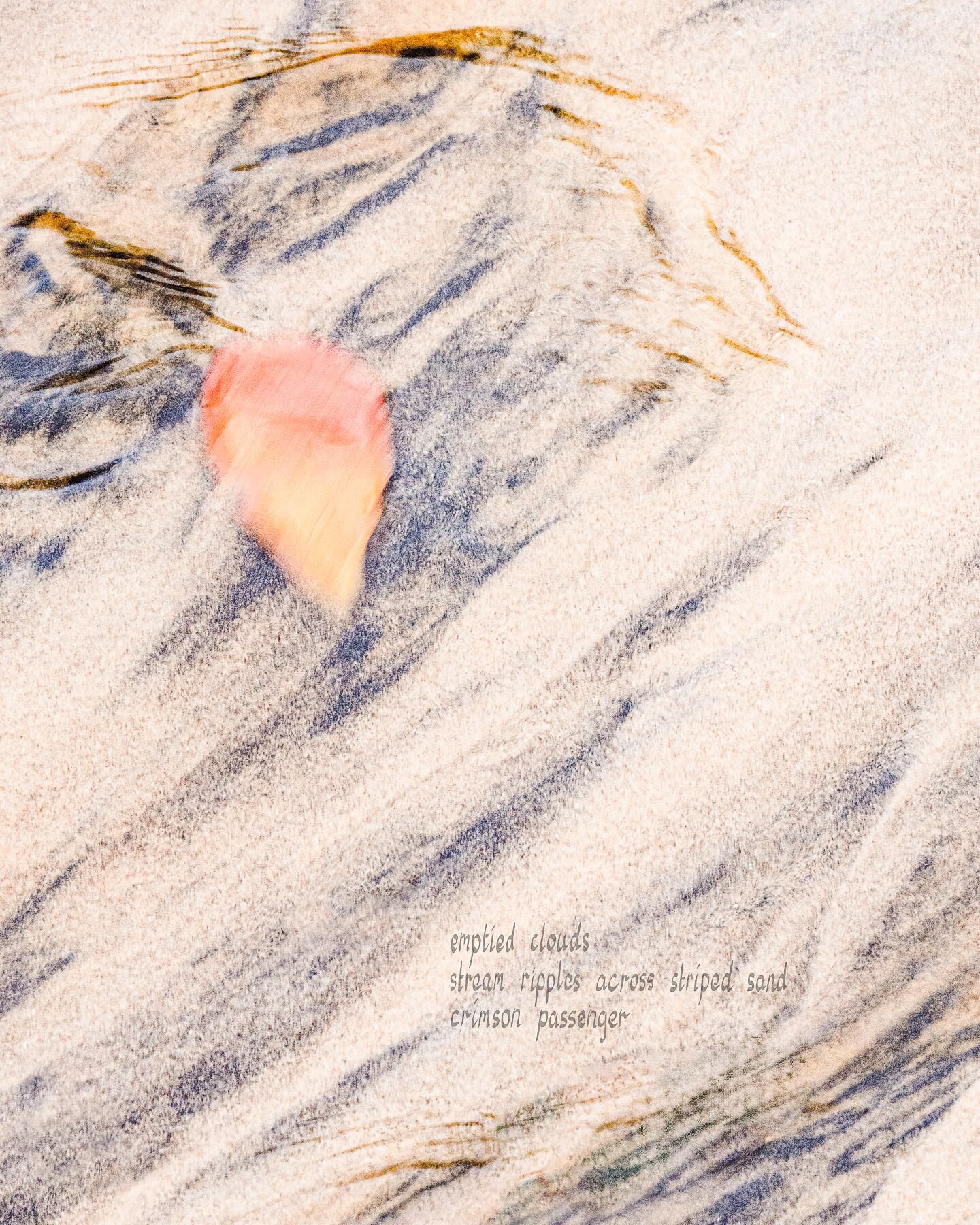 Fine Art Photo Prints for sale — Ian J Muirhead Arts