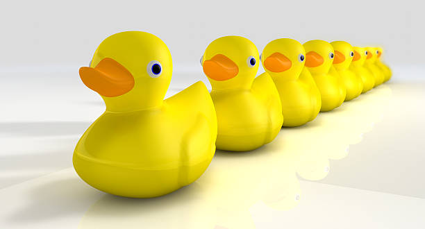 get-all-your-rubber-ducks-in-a-row-pictu