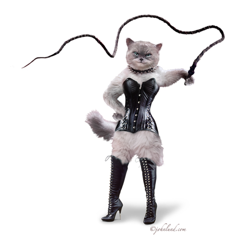 cat-dominatrix-white.jpg