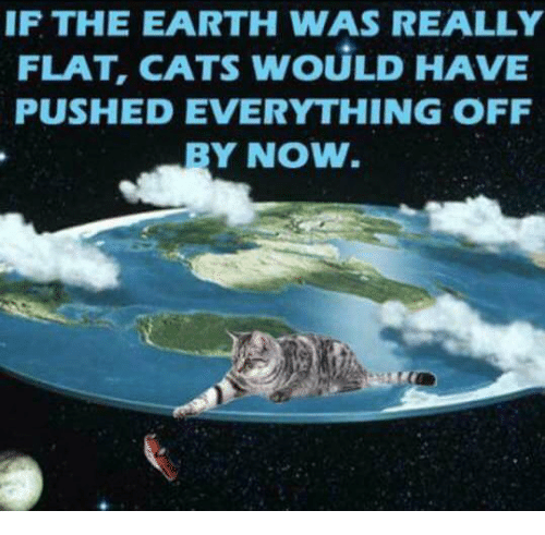 if-the-earth-was-really-flat-cats-would-