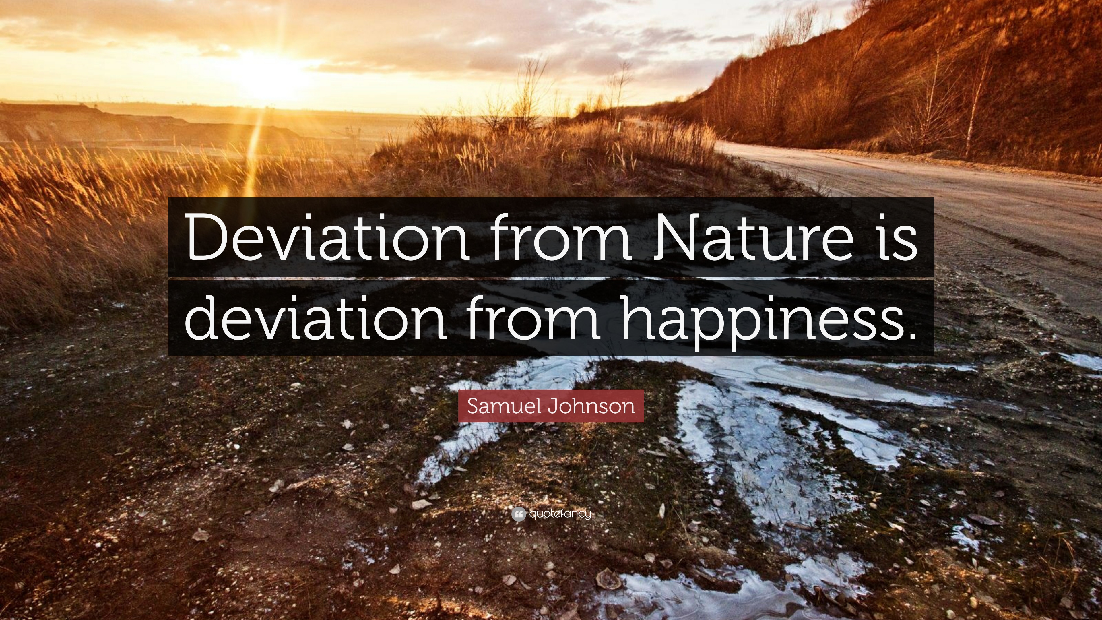 270297-Samuel-Johnson-Quote-Deviation-from-Nature-is-deviation-from.jpg