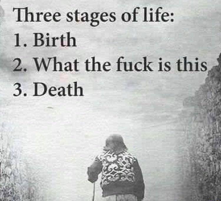 3_stages.jpg