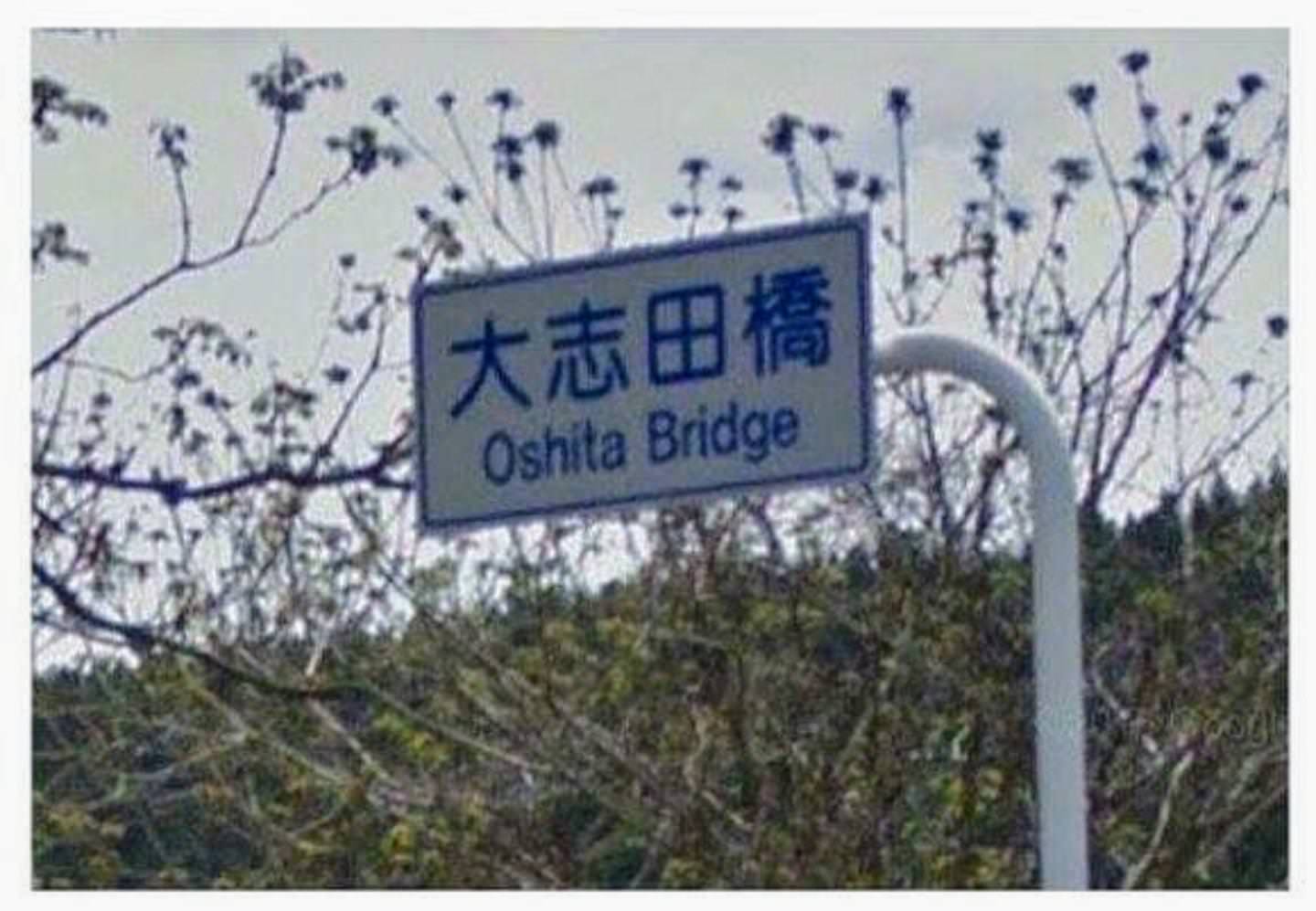 No photo description available.