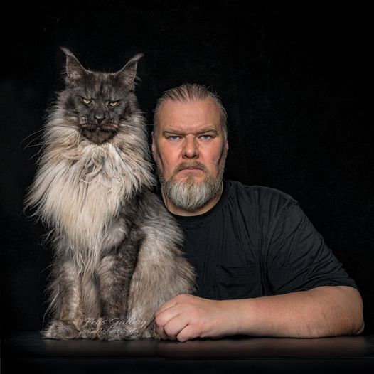 May be an image of 1 person, beard and cat