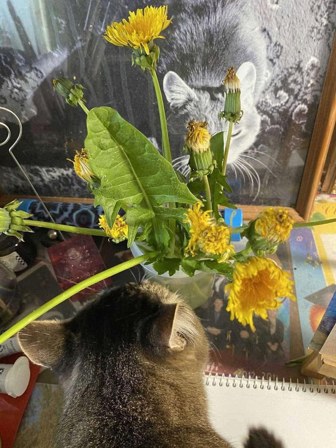 No photo description available.