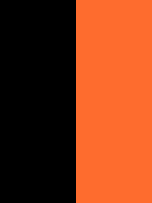 Black_and_orange_-_vertical_600_%C3%97_8