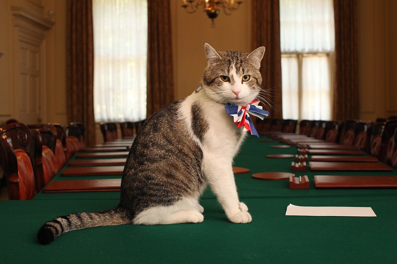 Larry Chief Mouser.jpg