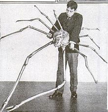 Image result for Japanese  spider  kami