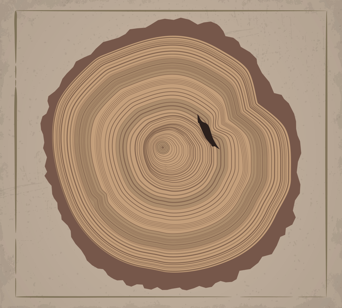 tree-rings-growth.gif