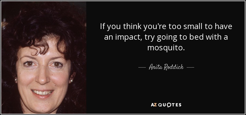 quote-if-you-think-you-re-too-small-to-have-an-impact-try-going-to-bed-with-a-mosquito-anita-roddick-24-86-70.jpg