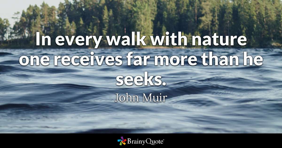 In every walk with nature one receives far more than he seeks. - John Muir