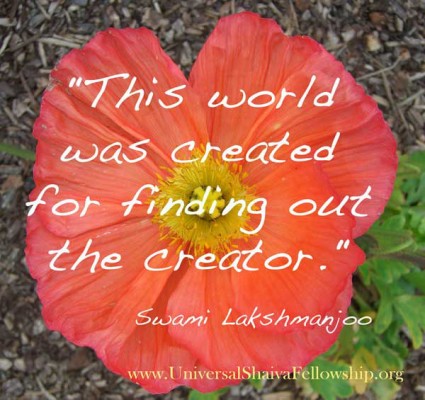 This world was created for finding out the creator ~Swami Lakshmanjoo
