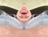 post-7745-0-99368000-1394994943_thumb.jpg