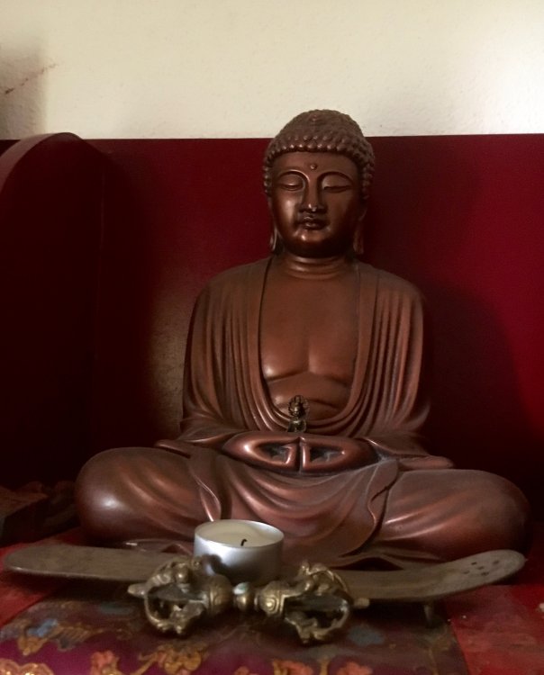 buddha.thumb.jpg.ff797cc432a1cc7fd3f8416232e4754d.jpg