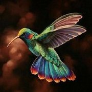 Colibri