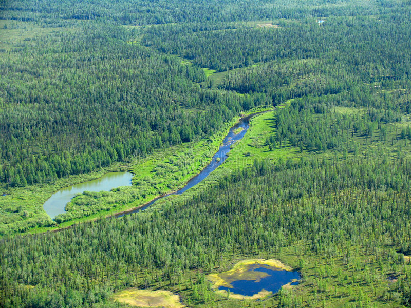 siberian-taiga-aerial-view-319166.jpg.ca26d3f66a9b96be97e8cae7954ac980.jpg