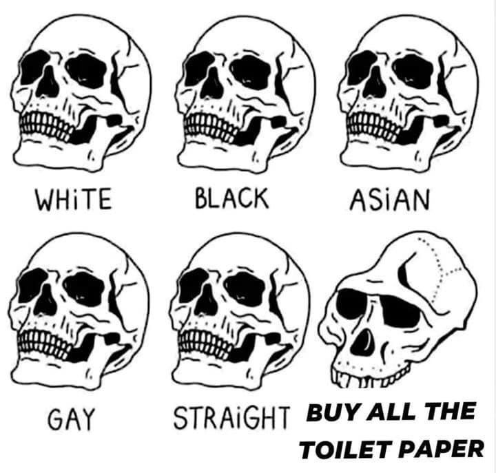 toiletpaper.jpg.e3b747e3b66c0d9fb4cf16461810efc2.jpg