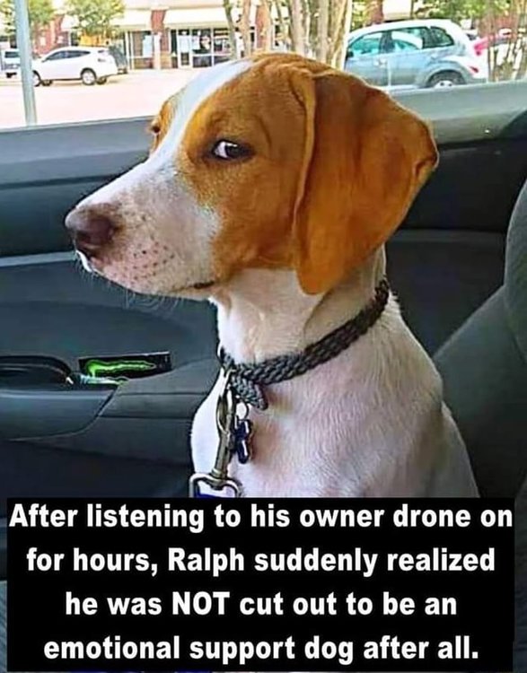 ralph.jpg