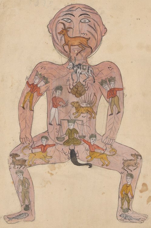 111318-105-Art-History-Medicine-India-Anatomy.jpg