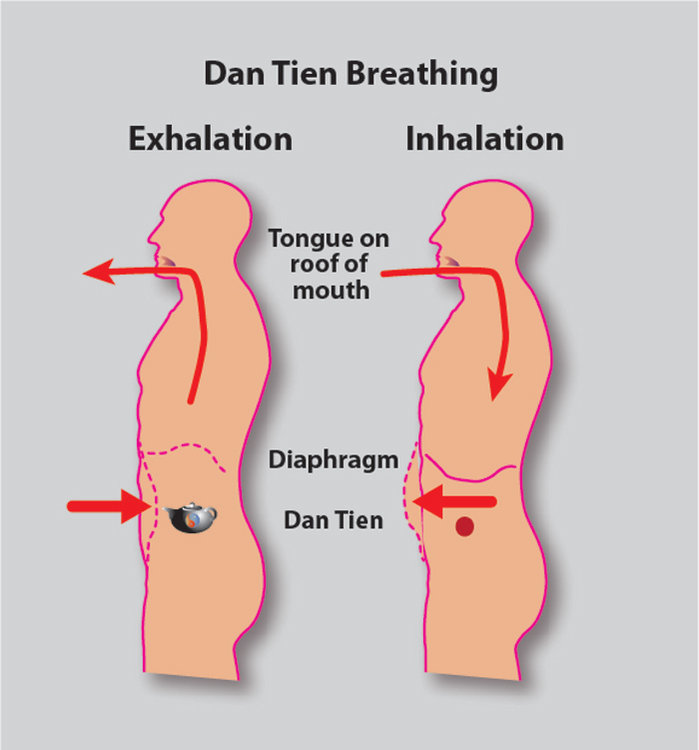 Master-So-Dan-Tien-Breathing-diaphragm-W.jpeg