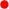 a-red.jpg.147c875df5300fcc19eb368e351e6a7f.jpg