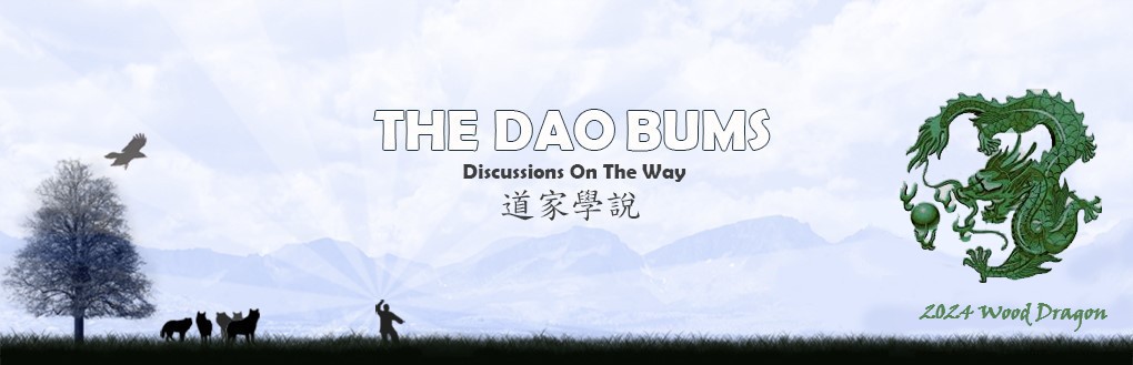 The Dao Bums