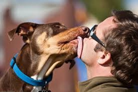 67ec9c186e20d_dogkiss.jpg.4f63e973084f0543c62f4cbfcddc3e8c.jpg