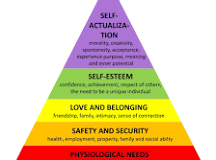 download.png.f55723e4a0819d2af3c40408eddb0f3d.png
