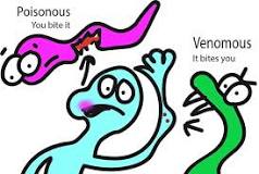 image.jpeg.8959ea9c48ce81ecdf82338e8b5cd285.jpeg