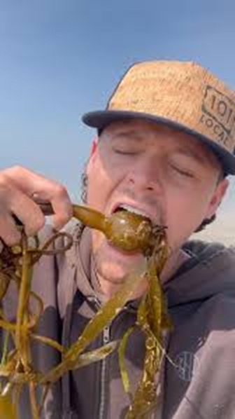 68d3e951780ae_seafood.jpg.ce0b9a9610d20290e85b5dd054040c3b.jpg