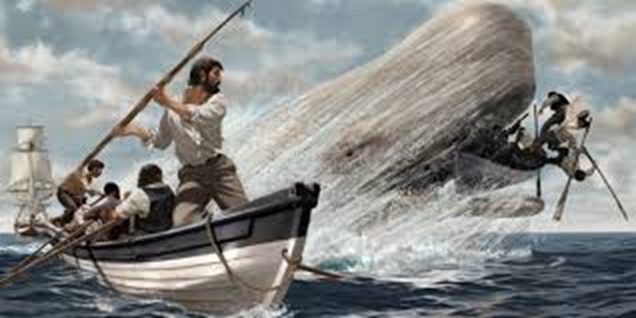 ahab.jpg.70e4c7738f77d35171a3064f626aa5ab.jpg