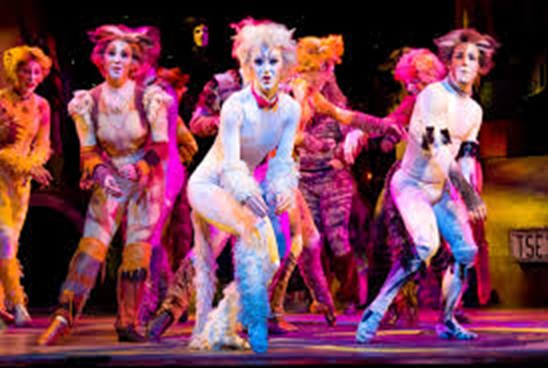 cats.jpg.33c57f49fcab2ce11cc5d94c10dc4a65.jpg