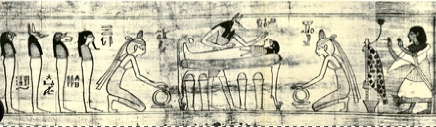 Image 17-11-2025 at 21.55.jpeg