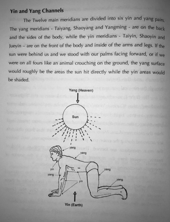yinyangbodysurface.thumb.jpg.a43e863b0e45adadfd0d5ff9303e9821.jpg
