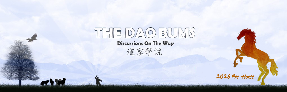 The Dao Bums